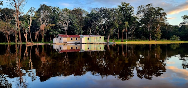 Manaos y Amazonia