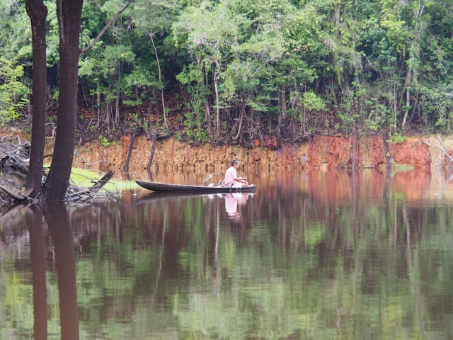 Manaos y Amazonia